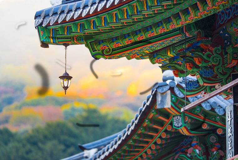 비문증