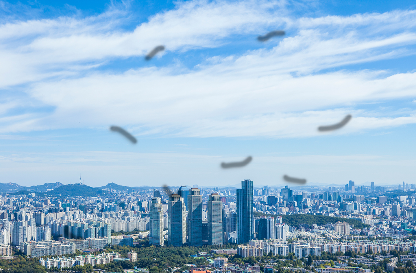 정상적인 마이봄샘