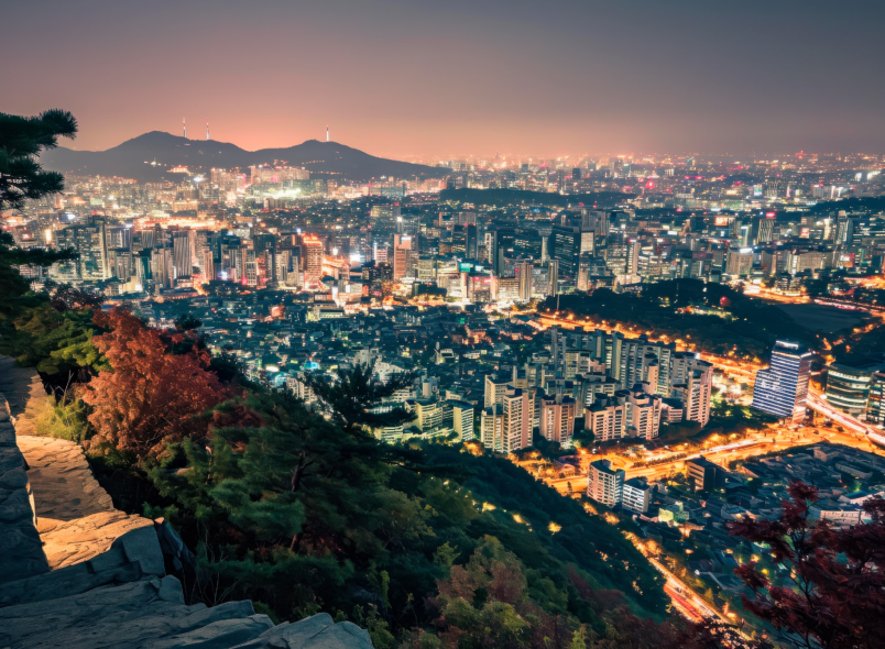 중등도근시