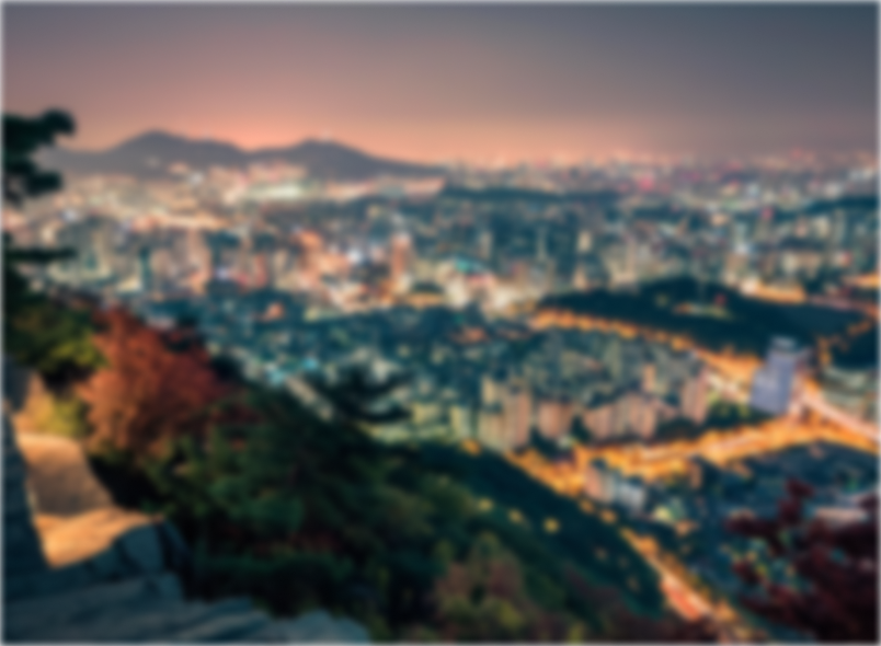고도근시